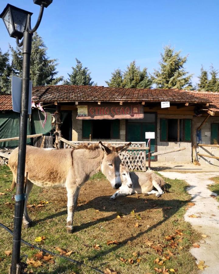 Hotel Etno Selo Timcevski Vojnik Kültér fotó